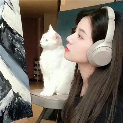 猪妖传